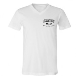 Unisex V-Neck Jersey Tee