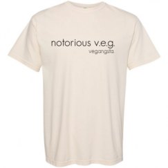 Adult Heavyweight T-Shirt