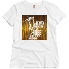 Ladies Basic Softstyle Tee