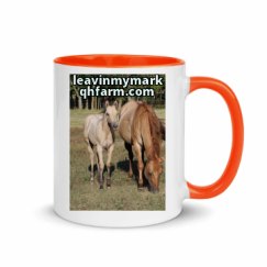 11oz Ceramic Mug with Color Inside