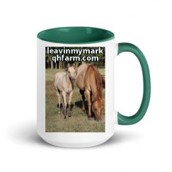 15oz Ceramic Mug with Color Inside