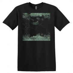 Butterfly Butterflies green