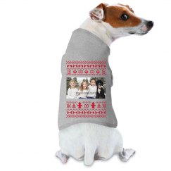 crochet dog coat pattern uk