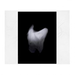 50 Inch Throw Blanket