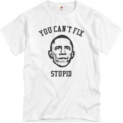 You Can't Fix Stupid