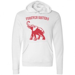 Unisex Fleece Pullover Midweight Hoodie