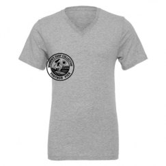 Unisex CVC Jersey V-Neck T-Shirt