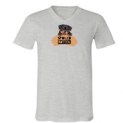 Unisex V-Neck Jersey Tee