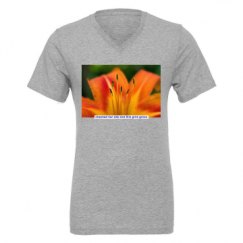 Unisex CVC Jersey V-Neck T-Shirt