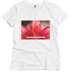 Ladies Basic Softstyle Tee