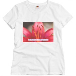 Ladies Basic Softstyle Promo Tee