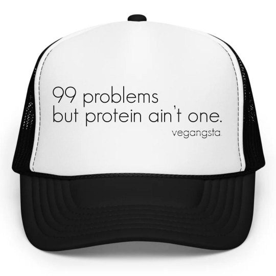 99 problems trucker hat