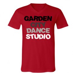 Unisex V-Neck Jersey Tee