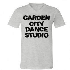 Unisex V-Neck Jersey Tee