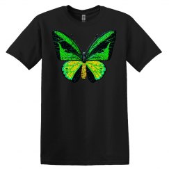 Butterfly Birdwing butterfly