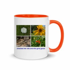 11oz Ceramic Mug with Color Inside