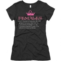 Ladies Slim Fit Super Soft Triblend Tee