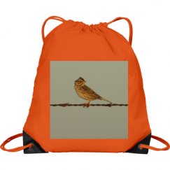 Port & Company Drawstring Cinch Bag