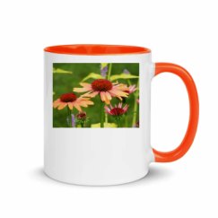 11oz Ceramic Mug with Color Inside
