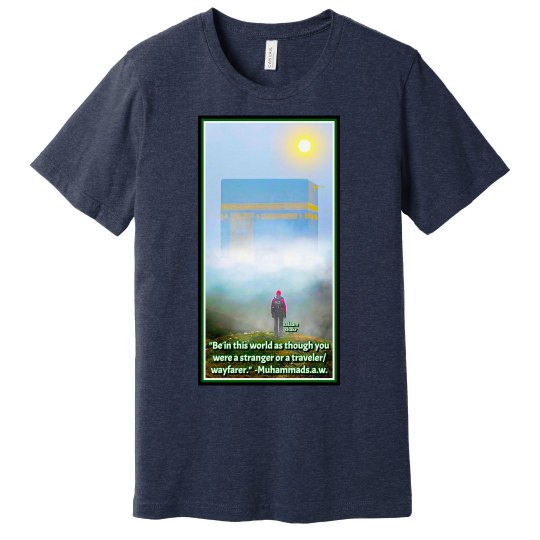 A TRAVELLER A TRAVELLER