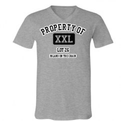 Unisex V-Neck Jersey Tee