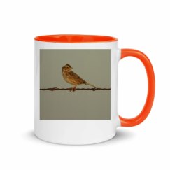 11oz Ceramic Mug with Color Inside