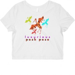 Ladies Slim Fit Crop Top Tee