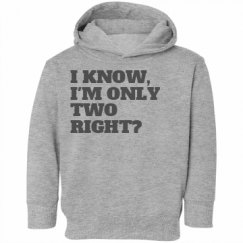 Toddler Hooded Sweatshirt