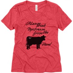 Ladies Relaxed Fit Super Soft Triblend V-Neck Tee