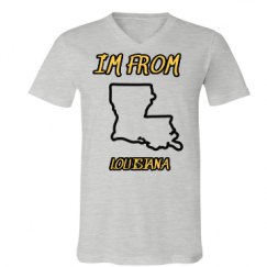 Unisex V-Neck Jersey Tee