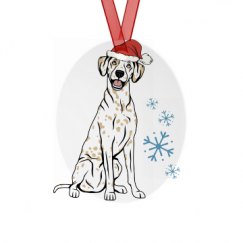 Metal Oval Christmas Ornament