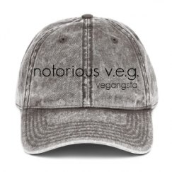 Vintage Baseball Cap