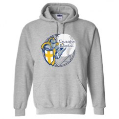 Unisex Basic Promo Hoodie