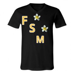 Unisex V-Neck Jersey Tee