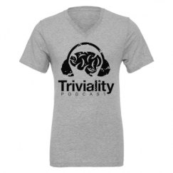 Unisex CVC Jersey V-Neck T-Shirt