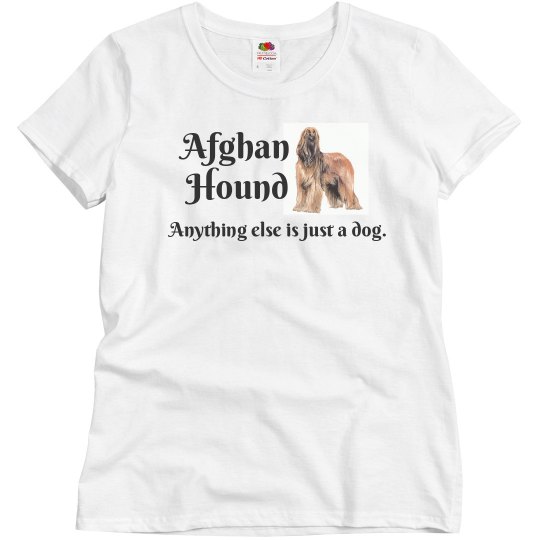 Afghan Hound Afghan Hound