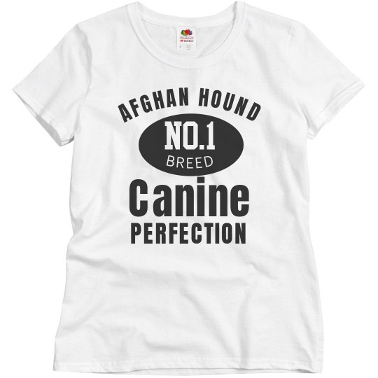 Afghan Hound Afghan Hound