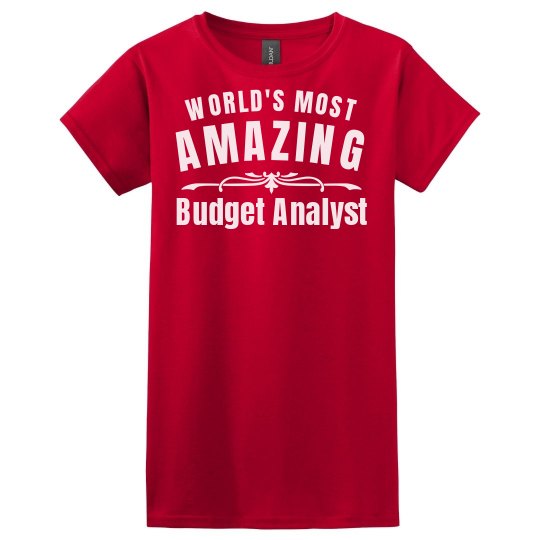 Amazing Budget Analyst
