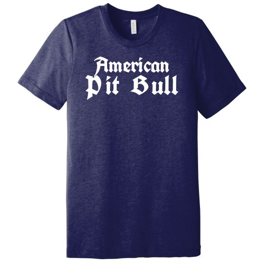 American Pit Bull