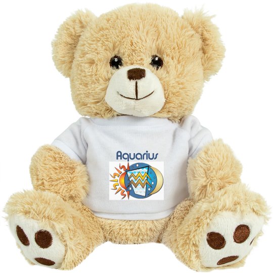 Aquarius Teddy Bear