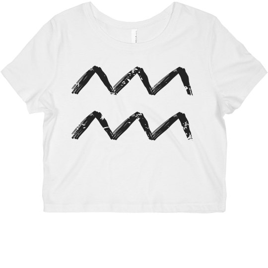 Aquarius Zodiac Aquarius Zodiac