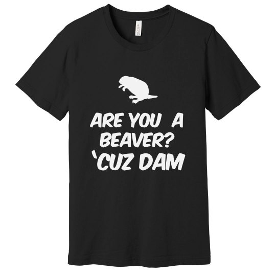 Are you a Beaver? Cuz Dam Are you a Beaver? Cuz Dam