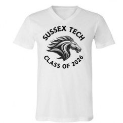 Unisex V-Neck Jersey Tee