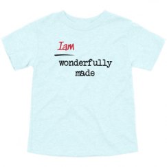 Toddler Triblend Tee