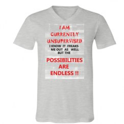 Unisex V-Neck Jersey Tee