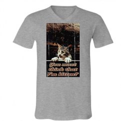 Unisex V-Neck Jersey Tee