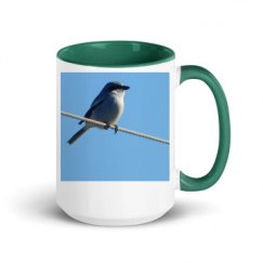 15oz Ceramic Mug with Color Inside