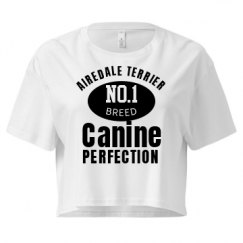 Ladies Festival Cali Crop Top Tee