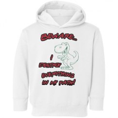 Toddler Hooded Sweatshirt