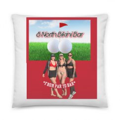 All Over Print 22 Inch Pillow